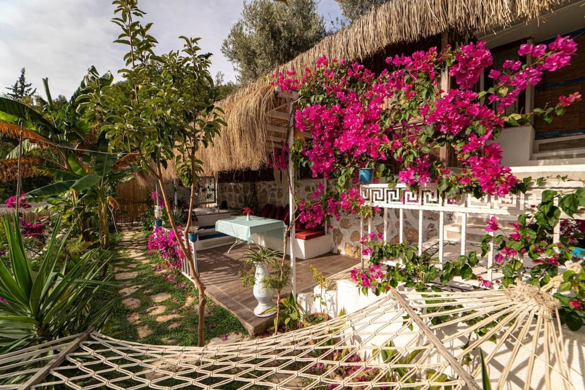 Begonvilla Bungalows Fethiye Exterior photo